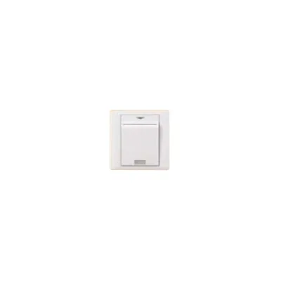 Công tắc chìa khóa phòng Schneider E2031EKT