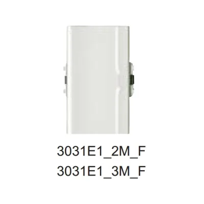 Công tắc 3031E1_2M_F_G19