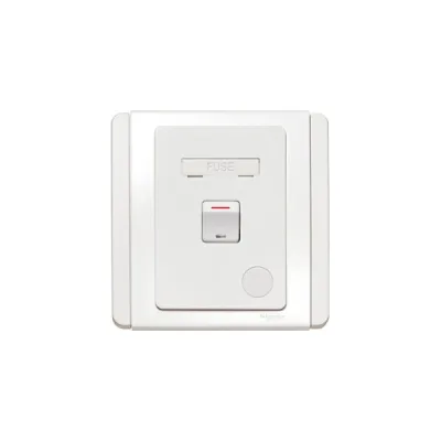 Bộ công kết nối cầu chì Schneider E3031DFSG_EWWW