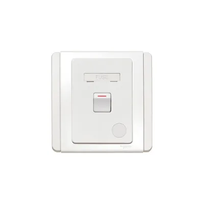 Bộ công kết nối cầu chì Schneider E3031DFSG_WW