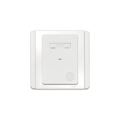 Bộ công kết nối cầu chì Schneider E3030FSG_EWWW