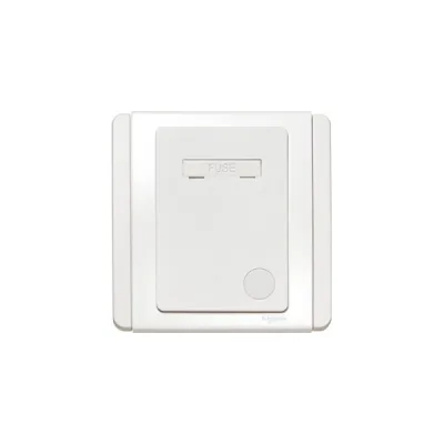 Bộ công kết nối cầu chì Schneider E3030FSG_WW
