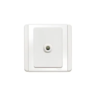 Bộ công kết nối Schneider E3031TB_WW