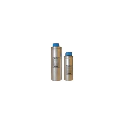 VarplusCan capacitors BLRCS104A125B40