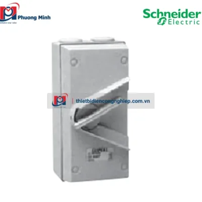 Cầu dao chống thấm Schneider WHD55_GY_G19