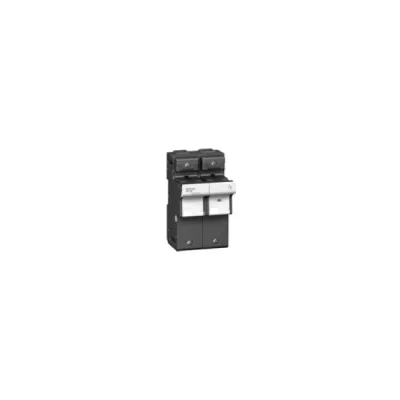 Cầu chì Schneider 32A DF101N