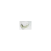 công tắc C (cầu thang) WNG5002701-W