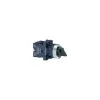Công tắc xoay Ø 22 Schneider XA2ED41