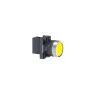 Nút nhấn có đèn báo Ø 22 Schneider XA2EW35B1