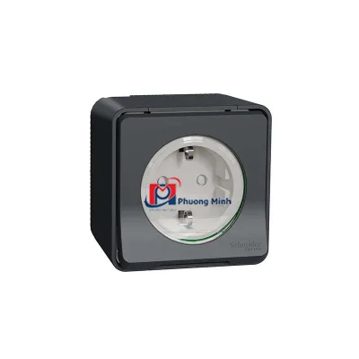 Ổ cắm đơn Mureva màu xám, lắp nổi - Schneider - MUR36034