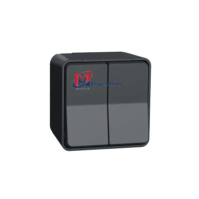Công tắc đôi 2 chiều Mureva màu xám, nổi - Schneider - MUR35022