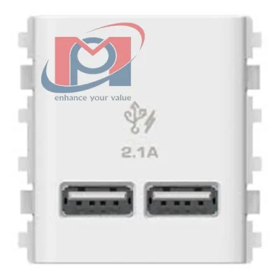 Ổ cắm sạc USB 2.1A đôi size - Schneider - 2S 3032USB_WE