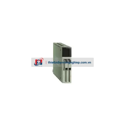 Module đầu ra Analog TSXBLY01