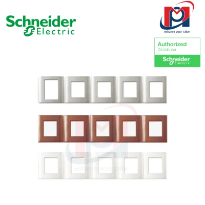 Khung viền năm -  Schneider - E84_56