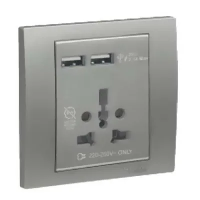 Ổ cắm đa năng và sạc USB đôi Vivace - Schneider - Màu Bạc - KB42616USB_AS_G19