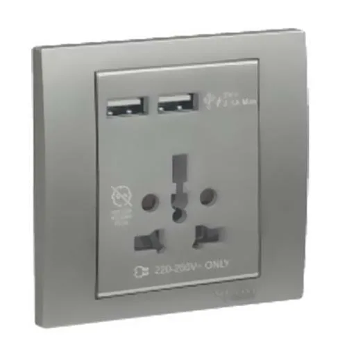 Ổ cắm đa năng và sạc USB đôi Vivace - Schneider - Màu Bạc - KB42616USB_AS_G19