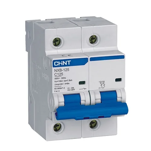 Áp tô mát NXB-125G 2P C125A 10KA - Chint - NXB-125G 2P C125A 10KA