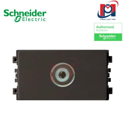Ổ tivi, size S Zencelo A - Schneider - màu đồng - 8431STV_BZ_G19