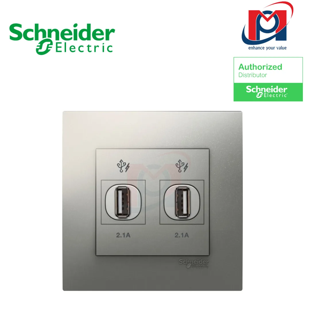 Ổ cắm sạc USB đôi 2.1A Vivace - Schneider - Màu Bạc - KB32USB_AS_G19