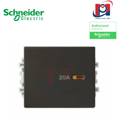 Công tắc 2 cực,size M Zencelo A - Schneider - 8431MD20_BZ_G19