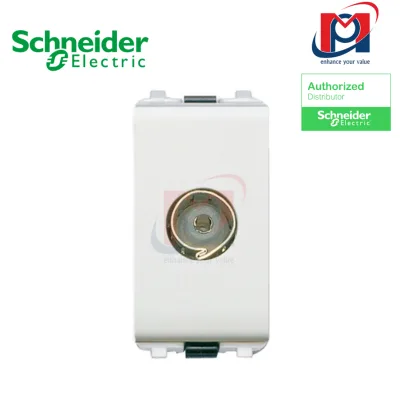 Ổ cắm angten TV - Schneider - 3031TV75MS_G19
