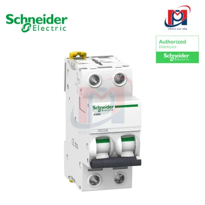 Acti 9 - iC60N 2P 6A - Schneider - A9F74206