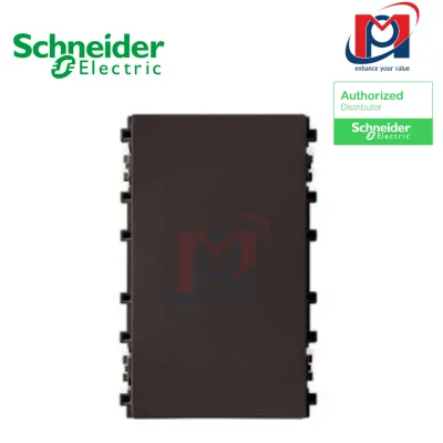 Nút che trơn,Size L Zencelo A - Schneider - 8430LP_BZ_G19