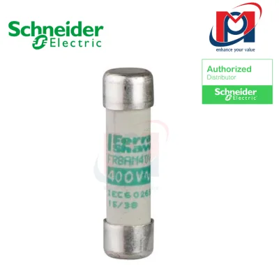 Cầu chì ống - Schneider - DF2CA06