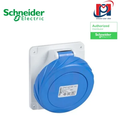 Ổ cắm gắn tủ nghiêng IP67 125A - Schneider - 81294