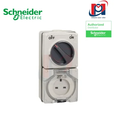 Bộ ổ cắm có công tắc 250V 32A 3 pin SW SKT IP66 -  Schneider - S56C332GY