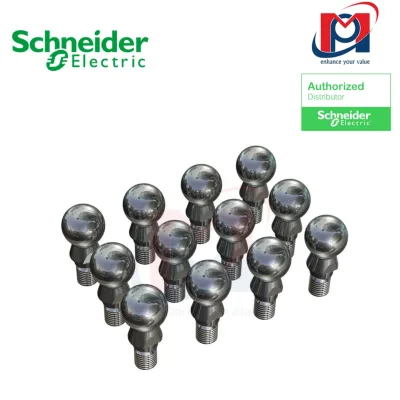 SPARE PART P4, KIT DE 12 BALL PINS - Schneider - VRKP4YYYYY00024