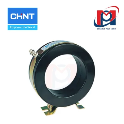 Biến dòng đo lường RCT-110 3000/5A class 0.5-1 IEC -  CHINT - 274899