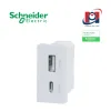 Ổ cắm USB 2 cổng A + C Schneider Milux E M3TS_USB2_WE