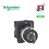 Công tắc khóa (key switch) hoàn chỉnh Easy Harmony XA2 XA2AG33