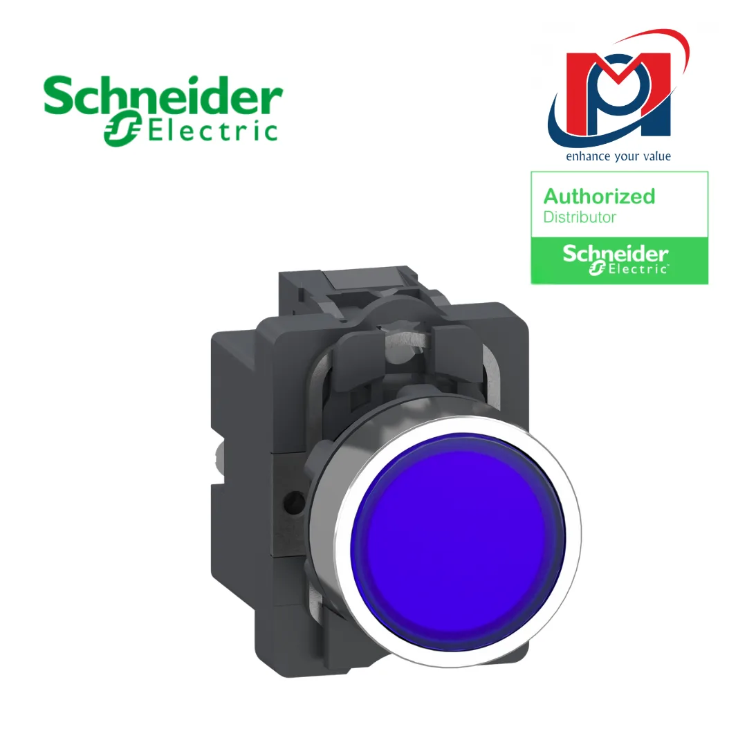 XA2AW36B1 Schneider